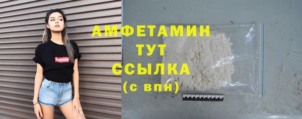 стаф Аркадак