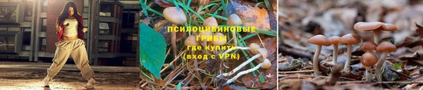 герыч Арсеньев