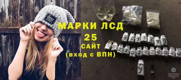 стаф Аркадак