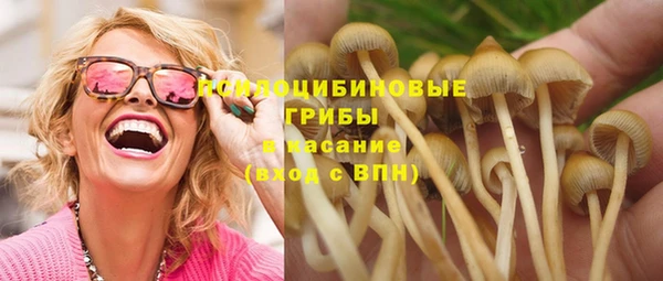 герыч Арсеньев