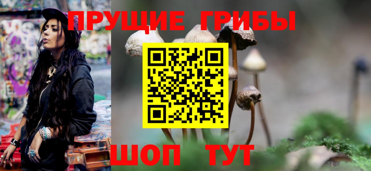 Галлюциногенные грибы прущие грибы Пятигорск