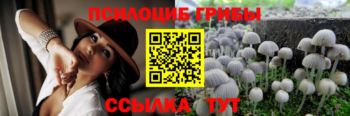 Галлюциногенные грибы Magic Shrooms  Вход с VPN  Пятигорск 
